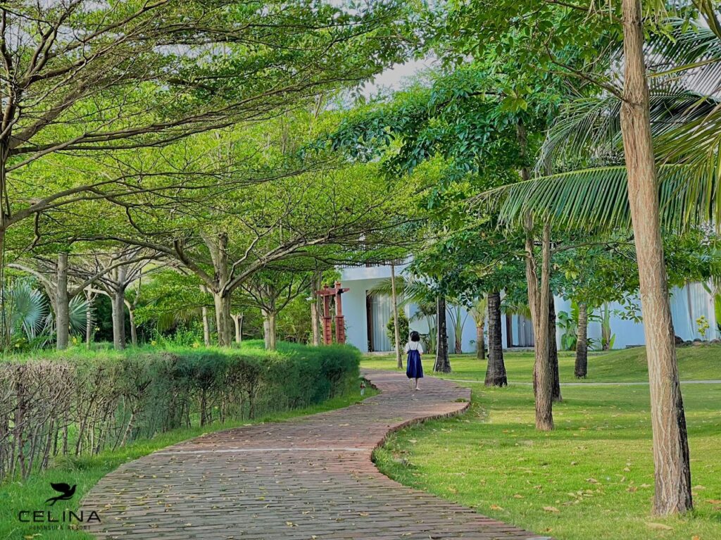 Dong Hoi