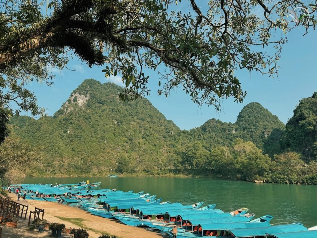 sông Son Phong Nha