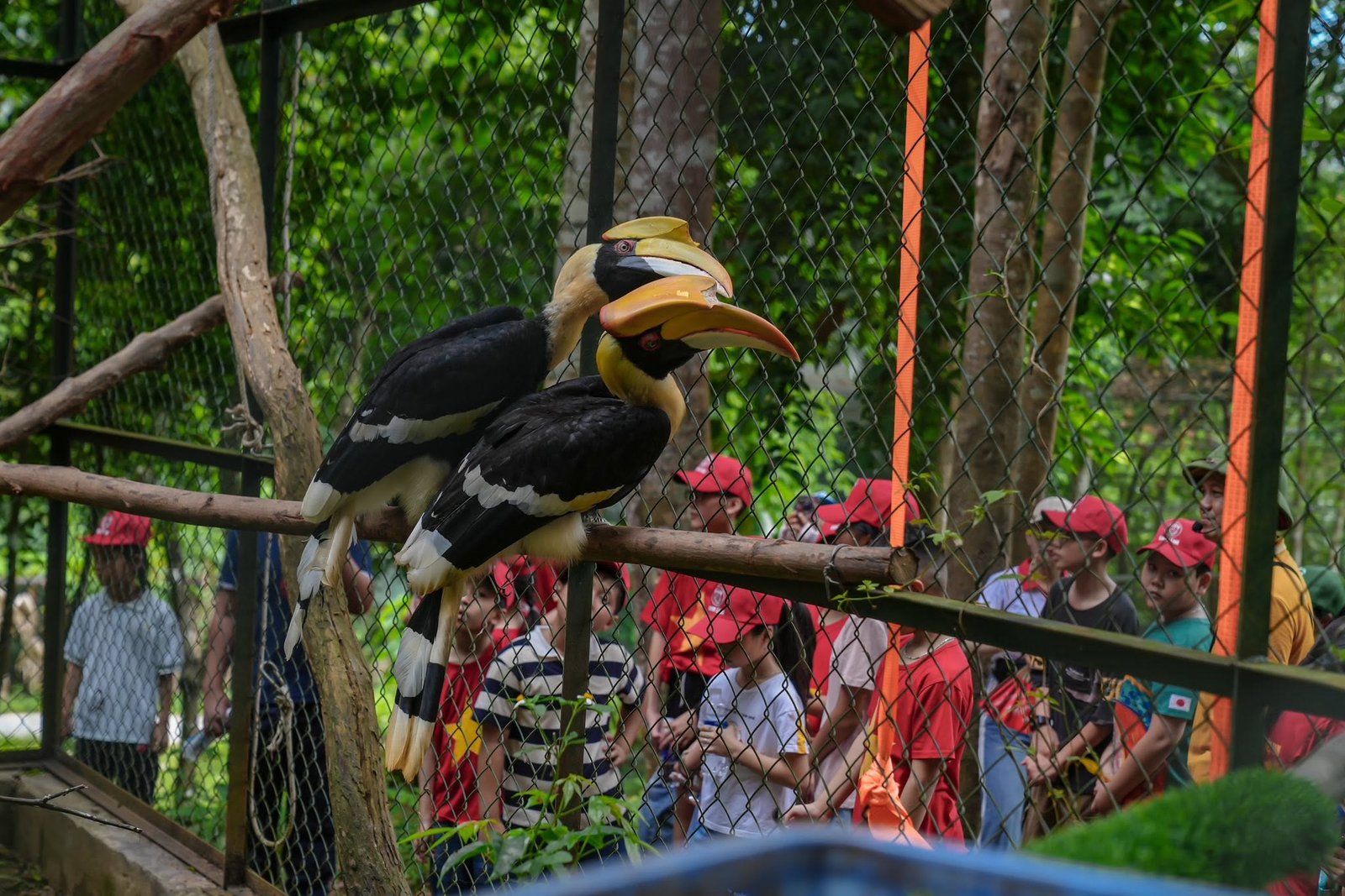 tham quan khu bảo tồn vườn thực vật
